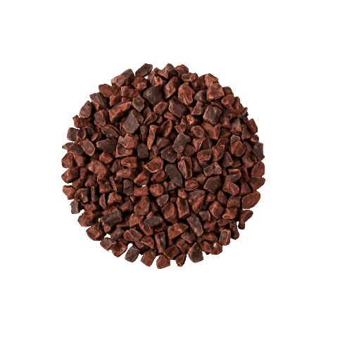 Cacao nibs