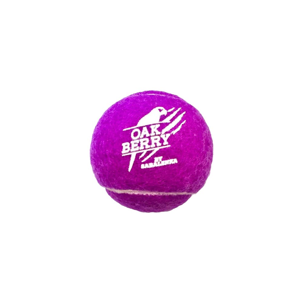 Pelota tennis Sabalenka